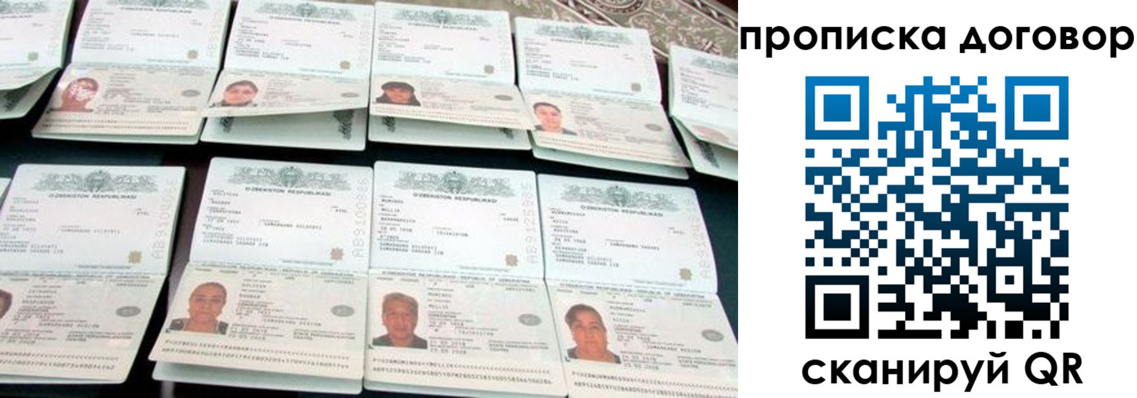 прописка для школы в Реутове